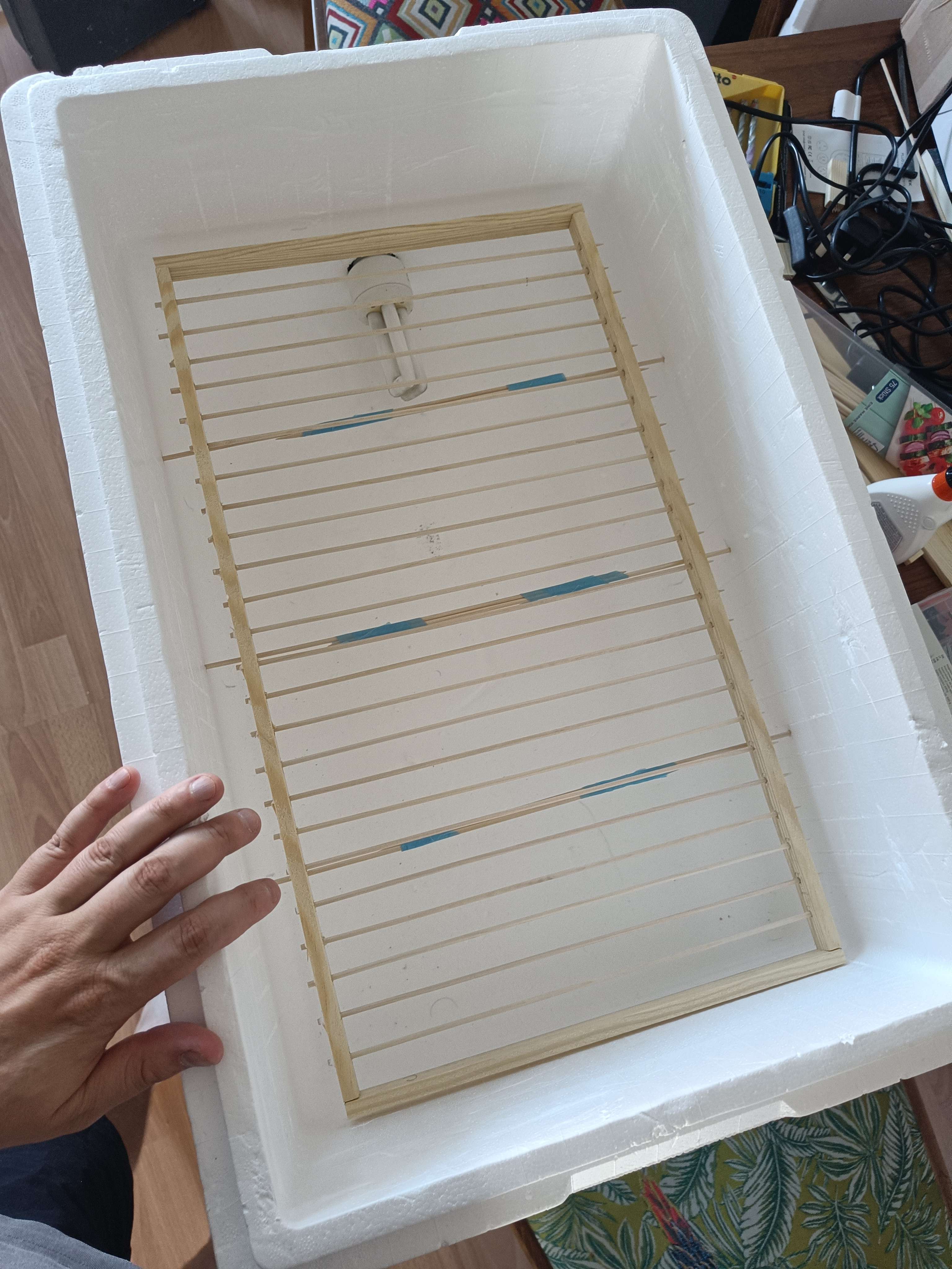 photo of styrofoam incubator box with wooden rack